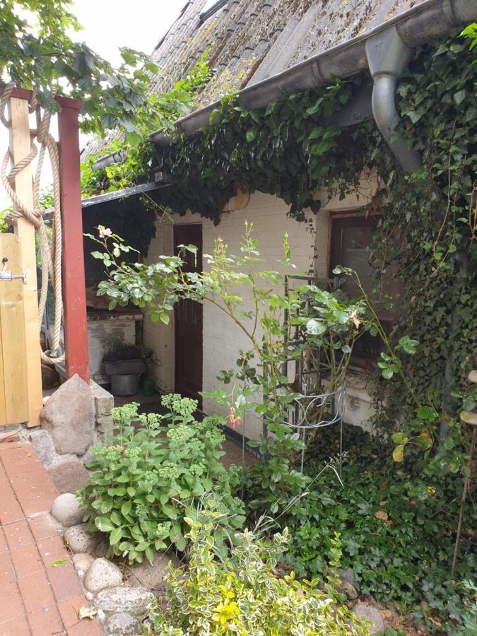 Ferienwohnung Am Osterdeich Dagebüll المظهر الخارجي الصورة